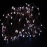 Cool White Light Copper Led Warm White Adapter Wire Lamp 10m - 3