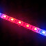 Strip Light Plant Box Grow Light Spectrum System Led - 7