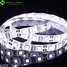 Cuttable 100cm Dc12v Warm White Cool White 60x5050smd - 5