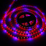 Led Waterproof 5m House Strip Flexible Flowering Dc12v - 3