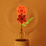Filament Light Led Bulb 220v Sunflower 3w White - 4
