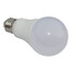 A60 Bulb Warm Led White Light Led Globe 1200lm - 2