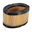 John Deere M49746 Air Filter Tecumseh - 2