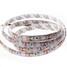 5m Color Light-emitting 3528smd Light Strip Dc12v - 2