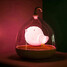 Led Colorful Rechargeable Bird Usb 3d - 6