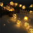 Rose Battery Box Lamp String - 3