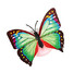 Night Light Random Color Pack Butterfly 10pcs - 1