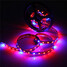 Led Waterproof 5m House Strip Flexible Flowering Dc12v - 10