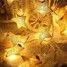 Light Star Plug Waterproof Christmas Holiday Decoration Outdoor Led - 3