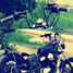 Triumph Bar 25mm 1inch Harley Honda Yamaha Suzuki Kawasaki Drag Handlebar - 9