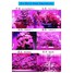 Blue Led Vegatables Lamp Light Hydroponic Plant Flowers - 7
