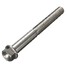 HEX Bolt X 1.25mm Titanium 90 110 Fine Flange M10 Head - 10