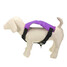 Puppy Safety Belt Waterproof Seat Oxford Car Vehicle Auto Pet - 3