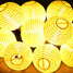 Solar Led Lights 20led Christmas Light Outdoor Lighting Festival Holiday Ball 4.8m - 3