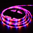 300x3528 Smd Rgb And Ac110-240v Transformer Led Strip Light - 10