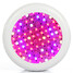 Full Led Spectrum Led Grow Light Lamp Plants 200w Growing Hydroponics - 2