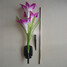 Decorative Lights Stake Walkway Flower Led Solar Light Yard Solar Garden - 3