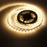 White Light Led 100 Strip Lamp 72w Zdm 300x5050smd Warm 12v 5m - 2