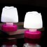 Colour Night Light Lamp Rose - 1