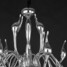 Chandelier Light Led G4 Chrome Finish Living Room Lights - 5