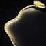 3528 SMD Warm White 500CM 18W 5M LEDs LED Strip Lights - 5