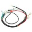 Quads Electric Wiring Harness Loom Chinese Start 50cc 70cc 90cc 110cc 125cc - 2