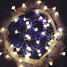 Christmas Holiday Decoration Light Waterproof Plug Rose Led 100-led 10m - 1