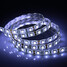 Strip Light Waterproof Dc12v Zdm 600lm Cool White Light Led 7000k 60x5050smd - 3