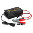 12V 10A LCD Display Smart Fast Battery Charger Car Motorcycle - 2