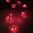 Rose Battery Box Lamp String - 5