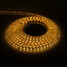 Waterproof 5m Warm White Light 3000k 300x5050smd Plug 220v Led Strip Light - 2