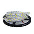 Waterproof Led 5m Home Strip Light Garden Light Strip Flexible - 1