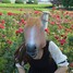 Simulation Performance Mask Horse Props Dance Animal Halloween - 8