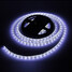 Cool White Light Led 5m Waterproof 12v Strip Lamp 300x5050smd Zdm - 2