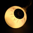 5m 220v Outdoor Eye 20-led String Light - 3