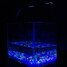 Water Blue Plant Led Fish Bulb Clip Light Lamp - 4