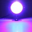 Spot 2Pcs Headlight Angel Eyes Lamp Body U7 Blue Light Waterproof Motorcycle LED Foglight - 7
