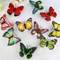 Night Light Random Color Pack Butterfly 10pcs - 3
