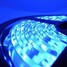 300led Waterproof Strip Light Dc12v Ip68 Blue 5m 30w 3528smd - 7