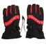 Warm Inner 12V Motorcycle Outdoor Heated Gloves Ski Racing Heat - 2