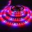 Led Waterproof 5m House Strip Flexible Flowering Dc12v - 8