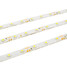 3528 SMD Strip Light LED Waterproof Car 5M 12V Four Colors - 9