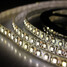 Waterproof 5M LED 12V Flexible Strip Light Warm White - 5