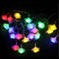 Plug Star Waterproof Led Light 2.5m 20-led Christmas Holiday Decoration - 5