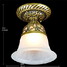 220v Classic Flush Mount Glass Light Bronze European - 2