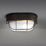 Fixture Wall Light Ceiling Light - 2