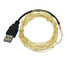 5m 3w String Light Silver 100 Waterproof Usb Led 240lm - 1