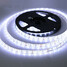 5m Color Light-emitting 3528smd Light Strip Dc12v - 7