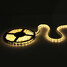 3528 SMD Warm White 500CM 18W 5M LEDs LED Strip Lights - 1