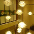 Decoration Modern Lamp Personality Droplight Light Lotus - 1